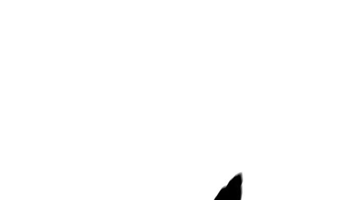 Wind Breaker chapter 437