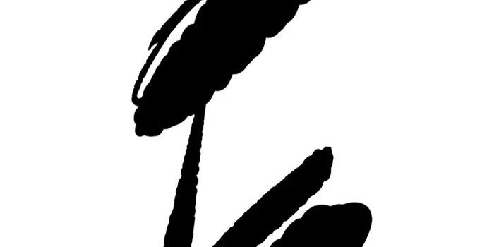 Wind Breaker chapter 437