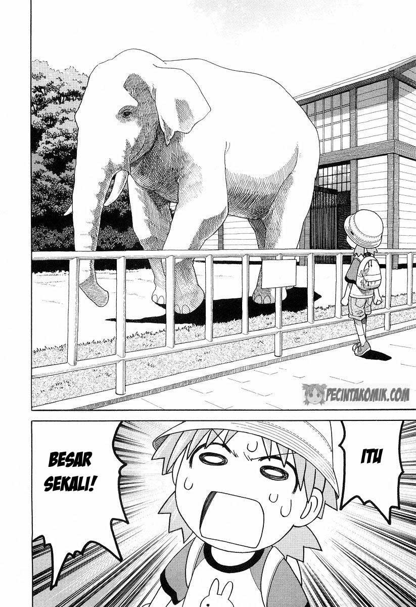 Yotsuba to! Chapter 19 Bahasa Indonesia