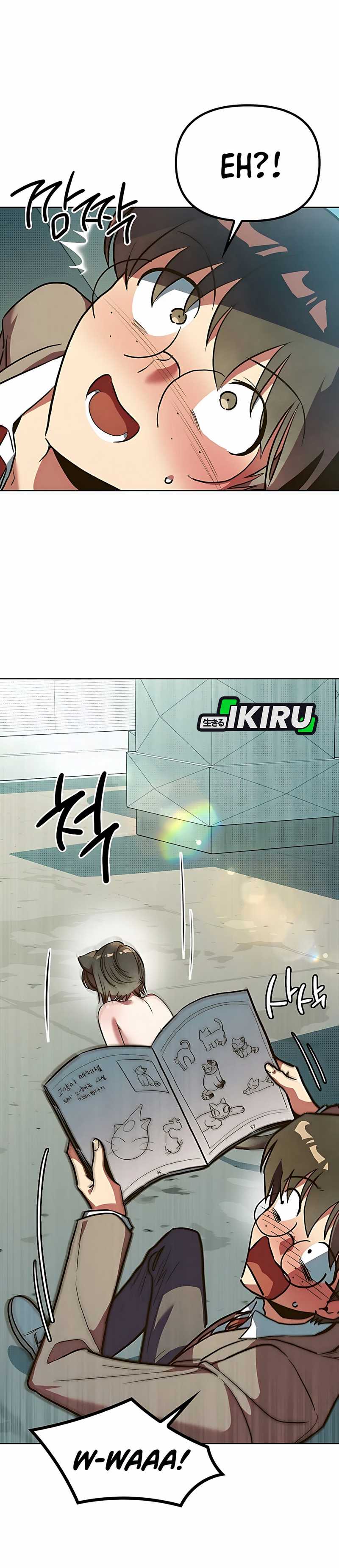 Zodiac Girl chapter 1